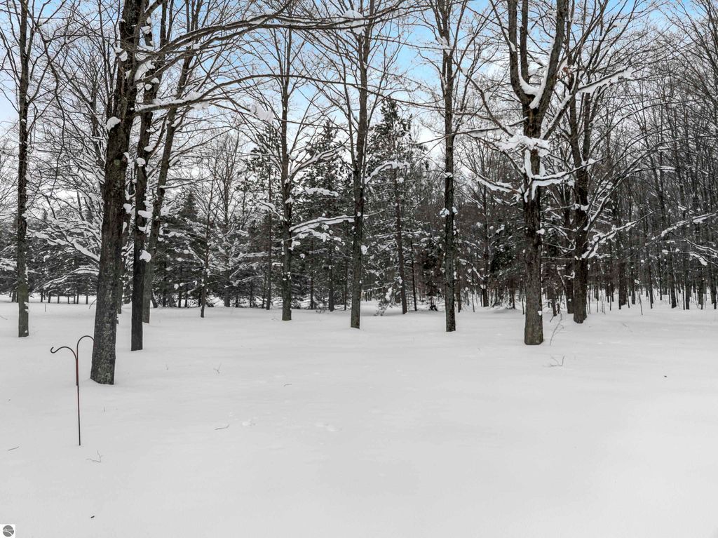 Image 39 of property listing at 8460 NE Covert Road, Mancelona, MI 49659