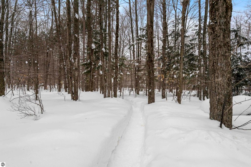 Image 45 of property listing at 8460 NE Covert Road, Mancelona, MI 49659