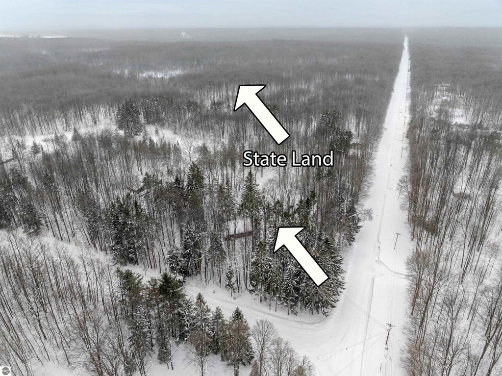 Image 8 of property listing at 8460 NE Covert Road, Mancelona, MI 49659