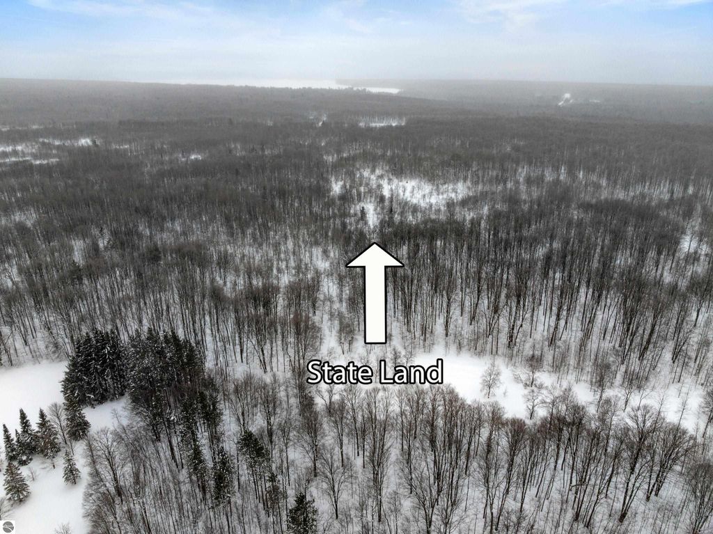 Image 9 of property listing at 8460 NE Covert Road, Mancelona, MI 49659