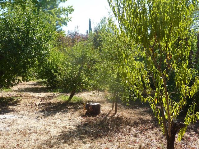 548 Milani Dr, Ukiah, CA 95482