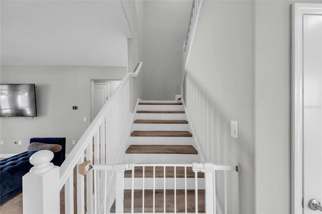 13220 SATIN LILY DRIVE, Riverview, FL 33579