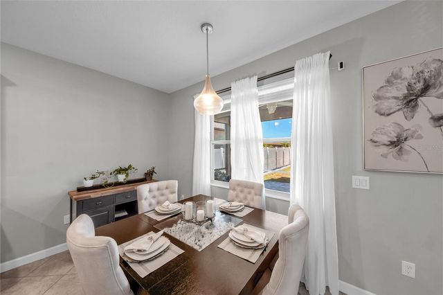 13220 SATIN LILY DRIVE, Riverview, FL 33579