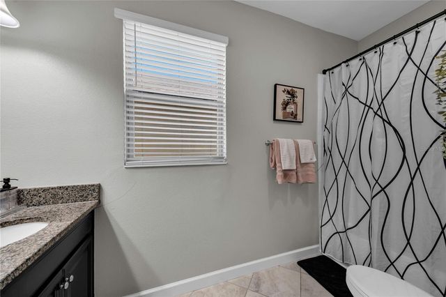 13220 SATIN LILY DRIVE, Riverview, FL 33579