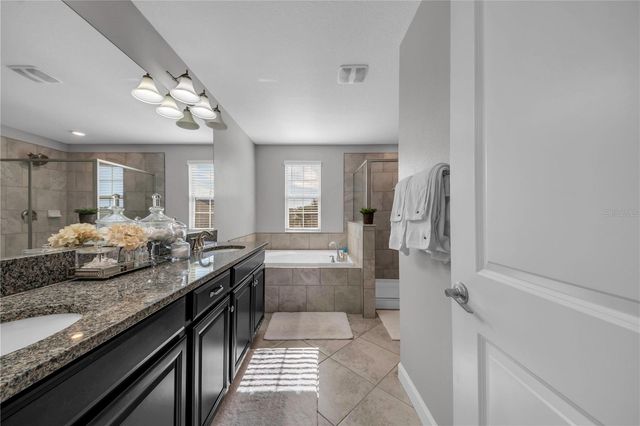 13220 SATIN LILY DRIVE, Riverview, FL 33579