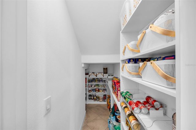 13220 SATIN LILY DRIVE, Riverview, FL 33579