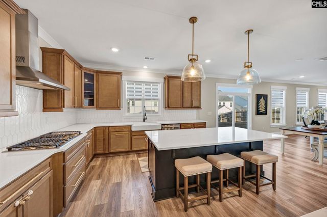 576 Outer Banks Drive, Lexington, SC 29072