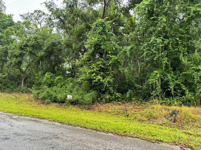 11 FISHER WAY COURSE, Ocklawaha, FL 32179