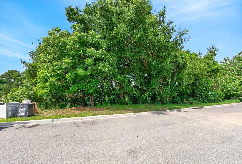 E MINNEOLA AVENUE, Clermont, FL 34711