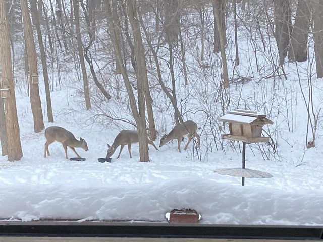 8986 Waterford Street, Sauk City, WI 53583