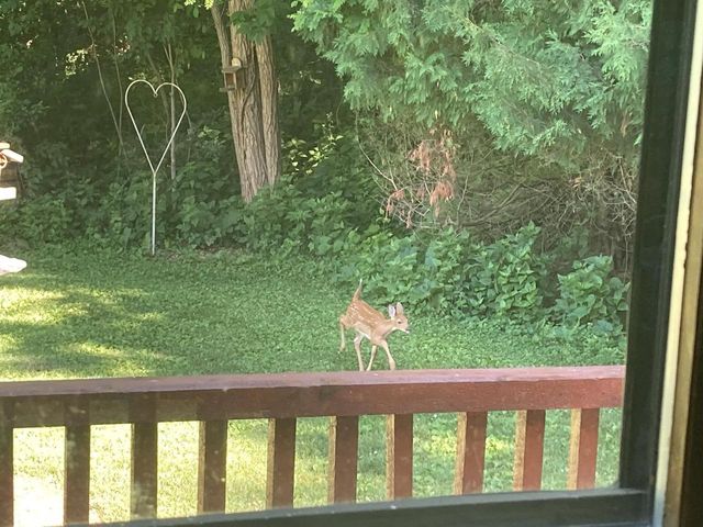 8986 Waterford Street, Sauk City, WI 53583