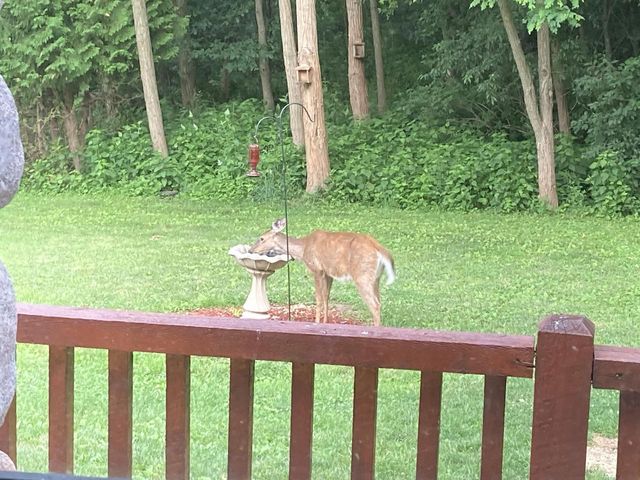 8986 Waterford Street, Sauk City, WI 53583