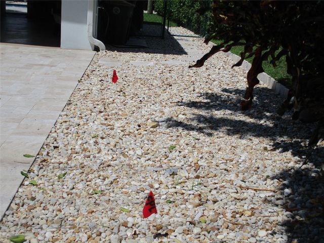 3021 NE 23rd Ave, Lighthouse Point, FL 33064