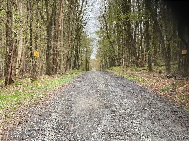 Lot #9 Lost Ridge Road 9, Florence, NY 13316