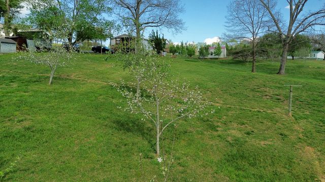 119 Fred Rd, Bon Aqua, TN 37025