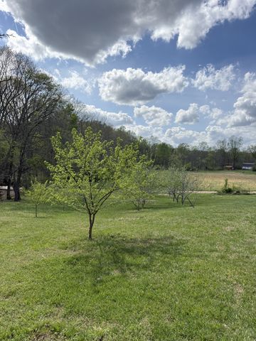 119 Fred Rd, Bon Aqua, TN 37025