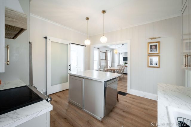 233 W Alpine Avenue, Zeeland City, MI 49464