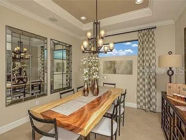 11119 CALLISIA DRIVE, Odessa, FL 33556