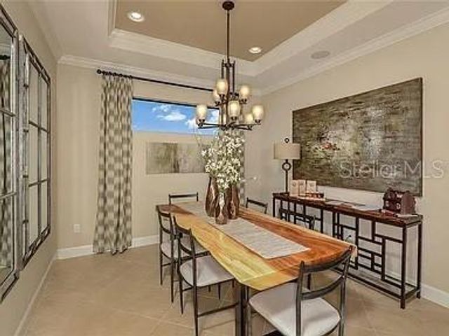 11119 CALLISIA DRIVE, Odessa, FL 33556