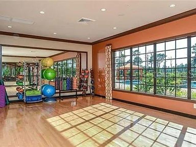 11119 CALLISIA DRIVE, Odessa, FL 33556