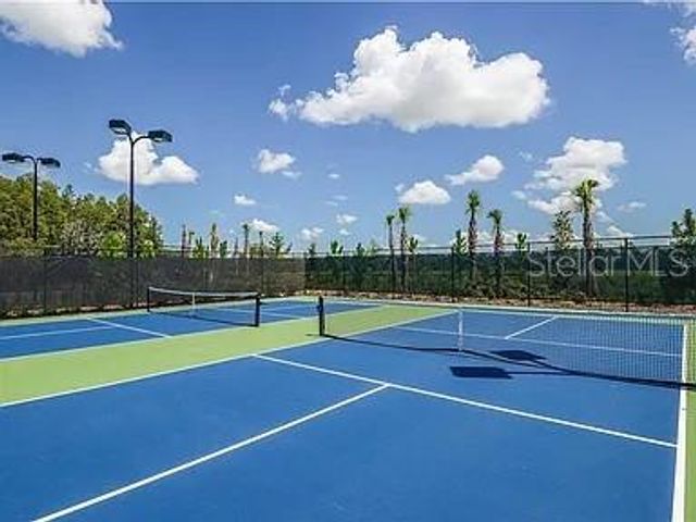 11119 CALLISIA DRIVE, Odessa, FL 33556