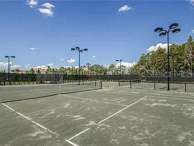 11119 CALLISIA DRIVE, Odessa, FL 33556