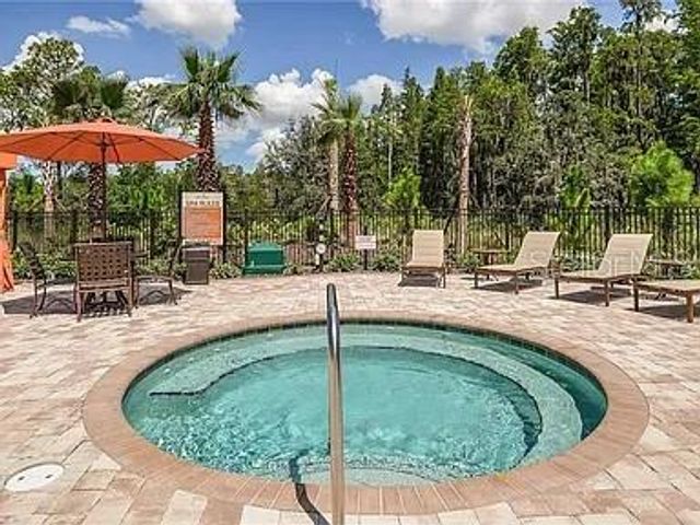 11119 CALLISIA DRIVE, Odessa, FL 33556