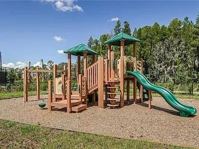 11119 CALLISIA DRIVE, Odessa, FL 33556