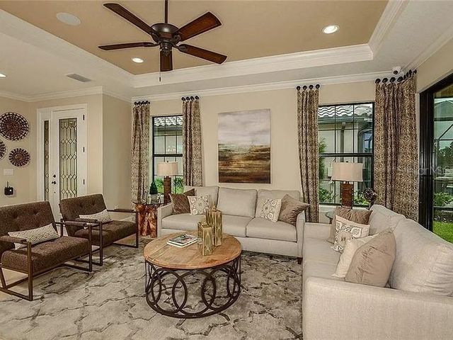 11119 CALLISIA DRIVE, Odessa, FL 33556