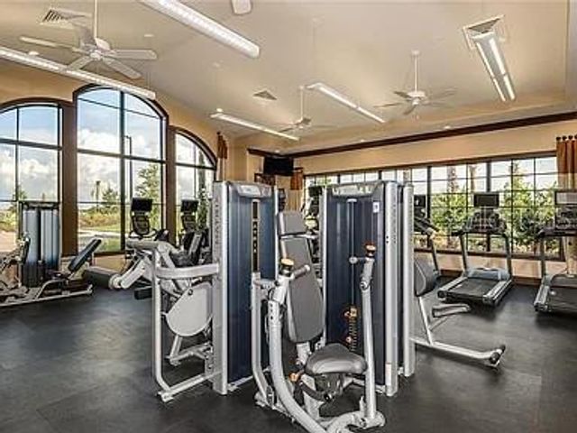 11119 CALLISIA DRIVE, Odessa, FL 33556