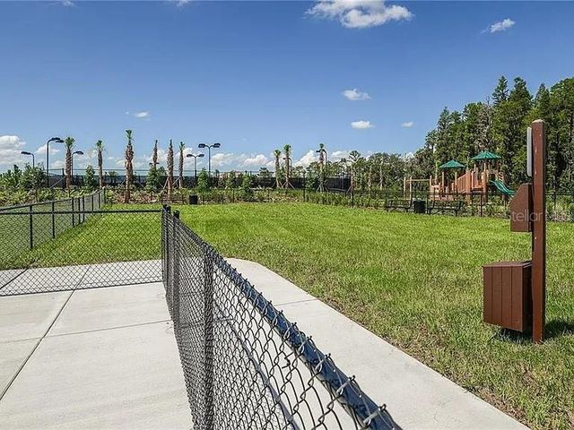 11119 CALLISIA DRIVE, Odessa, FL 33556