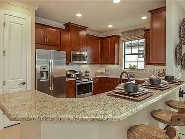 11119 CALLISIA DRIVE, Odessa, FL 33556