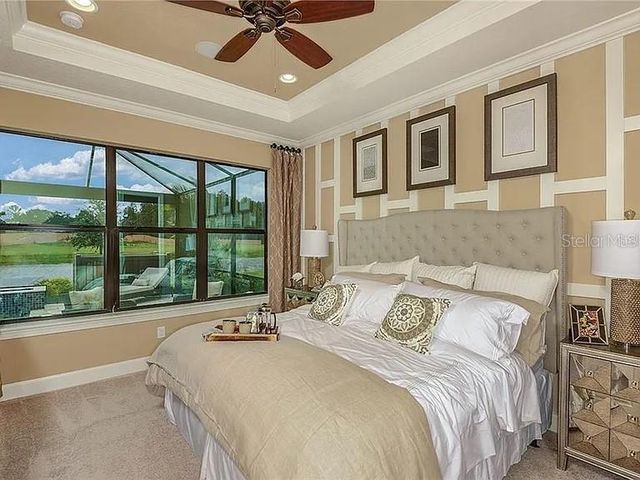 11119 CALLISIA DRIVE, Odessa, FL 33556