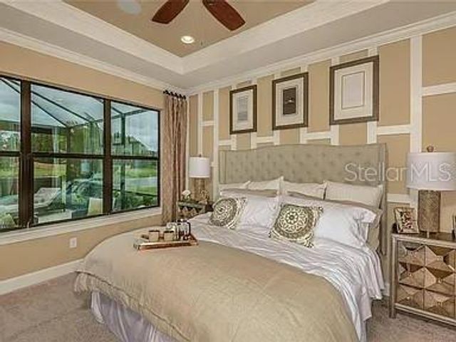 11119 CALLISIA DRIVE, Odessa, FL 33556