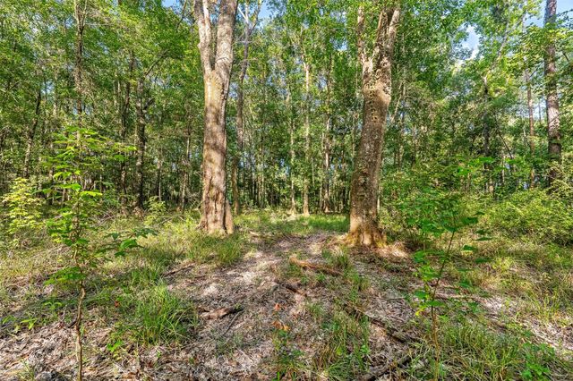 12626 Highway 105, Cleveland, TX 77327