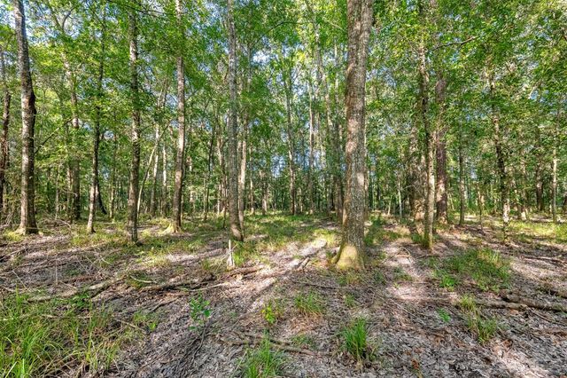 12626 Highway 105, Cleveland, TX 77327