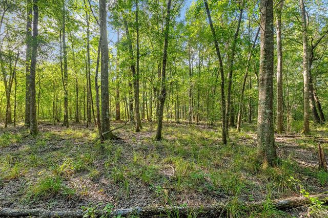 12626 Highway 105, Cleveland, TX 77327