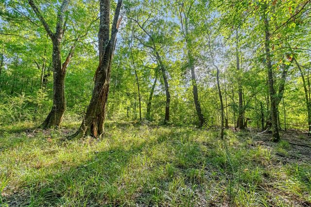 12626 Highway 105, Cleveland, TX 77327