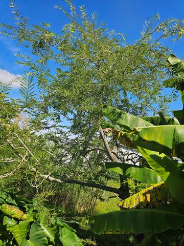 925 SW 39th Lane, Okeechobee, FL 34974