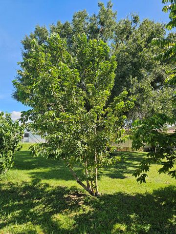 925 SW 39th Lane, Okeechobee, FL 34974