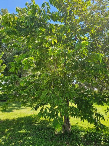 925 SW 39th Lane, Okeechobee, FL 34974