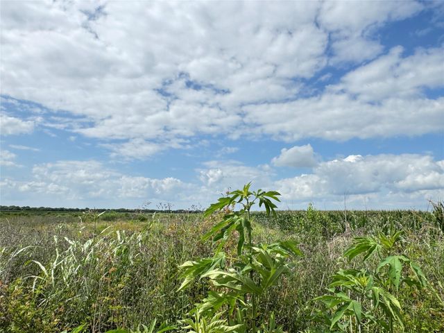 TBD Beard Road, Needville, TX 77461