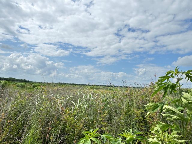 TBD Beard Road, Needville, TX 77461