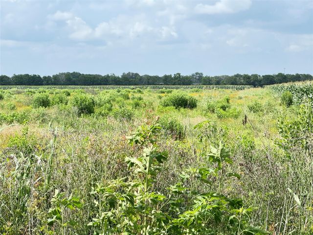 TBD Beard Road, Needville, TX 77461