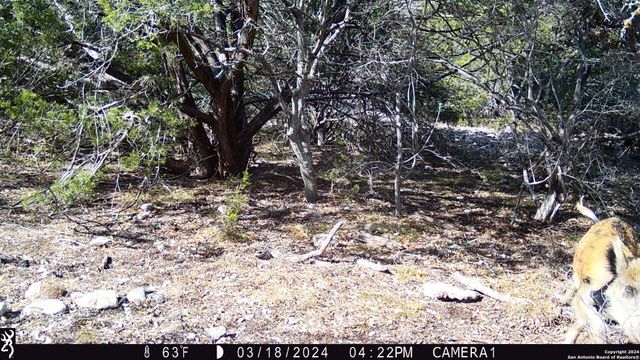 TBD Red Bluff Creek, Rocksprings, TX 78880