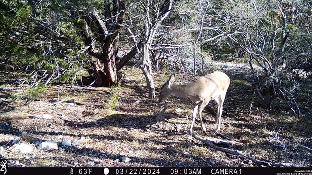 TBD Red Bluff Creek, Rocksprings, TX 78880