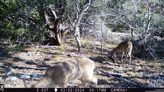 TBD Red Bluff Creek, Rocksprings, TX 78880