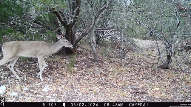 TBD Red Bluff Creek, Rocksprings, TX 78880