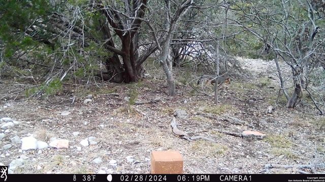 TBD Red Bluff Creek, Rocksprings, TX 78880