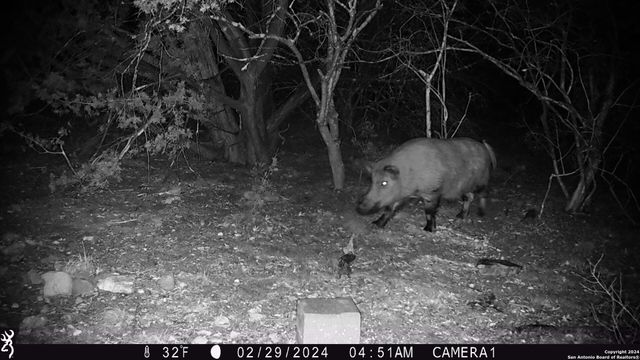 TBD Red Bluff Creek, Rocksprings, TX 78880